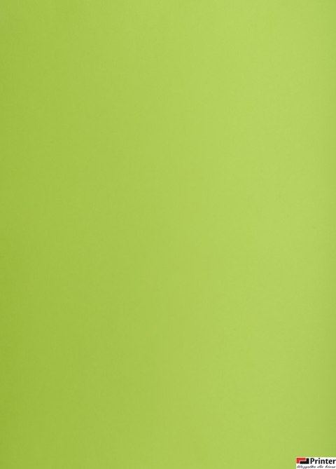 Karton kolorowy Oxford B2 225g 25ark nr.66 j.zielony 400150337 TOP-2000