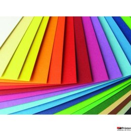 Karton foto 300g (10) 28 wrzosowy GIMAR 50*70