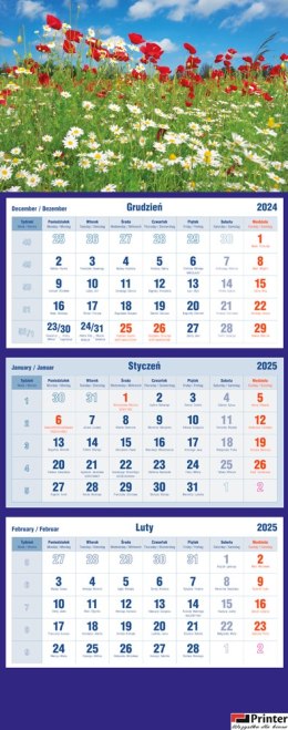 Kalendarz trójdzielny 2026 Maki Michalczyk i Prokop T-105T-01