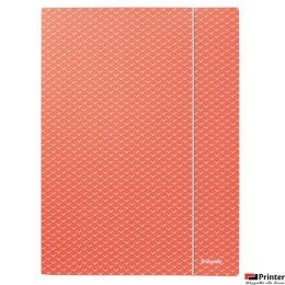 Teczka kartonowa z gumką Colour