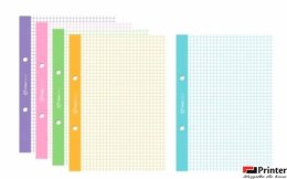 Wkład do segregatora A5 50k kolorowy margines kratka WKDOSEA5F Interdruk