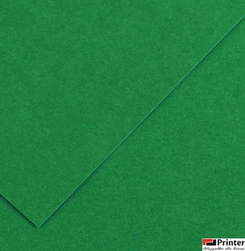 Karton kolorowy Oxford B1 225g 25ark nr.63 c.zielony 400150269 TOP-2000