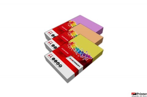 Papier xero A4 80g mix intensywny czer,ró,bł,słon,mięt.100ark xem1001pwn