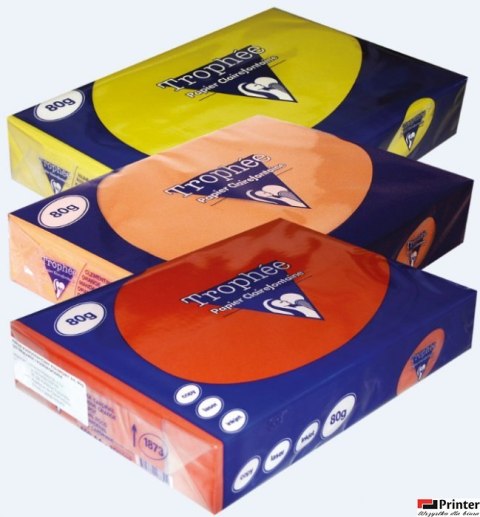 Papier xero A4 80g TROPHEE lila XCA41872 CLAIREFONTAINE