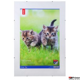 Antyrama plexi 400x600mmm ANP40x60 MEMOBOARDS