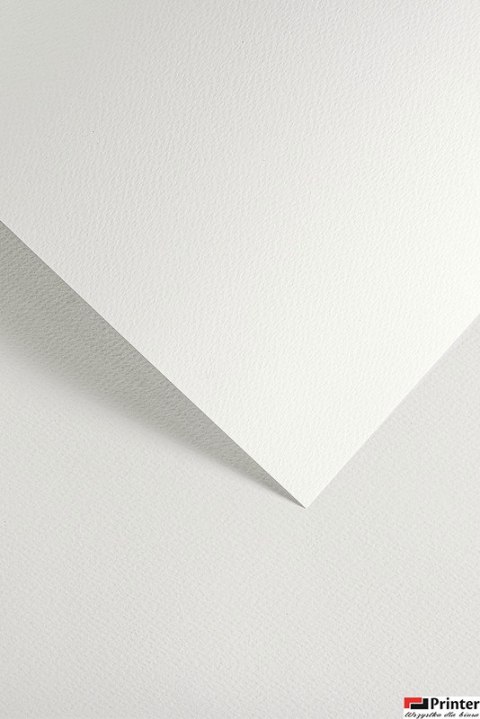 Karton ozdobny SAWANNA biały (20) 200g/m2 204801 ARGO