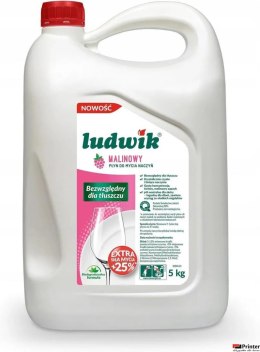 LUDWIK Płyn do naczyń 5l malinowy 30853