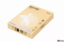 Papier xero MAESTRO COLOR A4 80g CH32 ircha