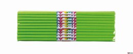 Bibuła marszczona 50x200cm, jasnozielony, 10 szt., HAPPY COLOR, HA 5020-51