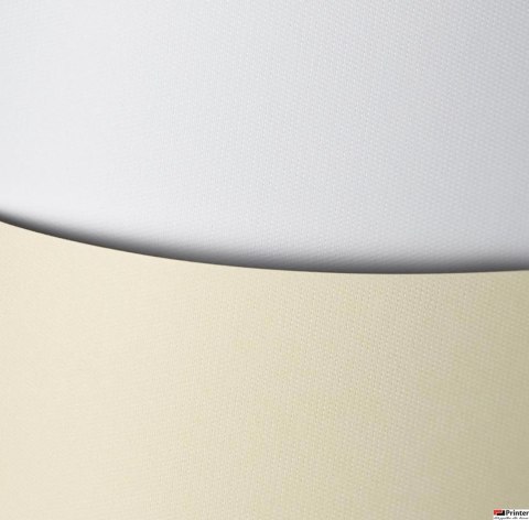 Karton ozdobny wizytówkowy A4 FLORYDA kremowy 220g (20) 200302 GALERIA PAPIERU