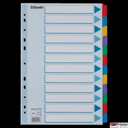 Przekładki, kolorowy karton, karta opisowa Mylar A4, Esselte, 12 kart, , 100169