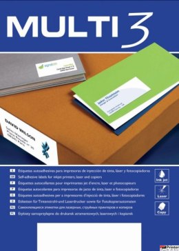 Etykiety 199,6*289,1 MULTI AP10504 (X)
