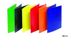 Teczka z gumka lak.DOX 2056001 -06 DONAU