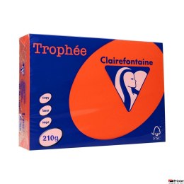Papier xero A4 210g czerwień kardynalska TROPHEE xca42207 250 ark.