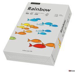 Papier xero kolorowy A4 160g 250 ark. RAINBOW R96 szary 88042813