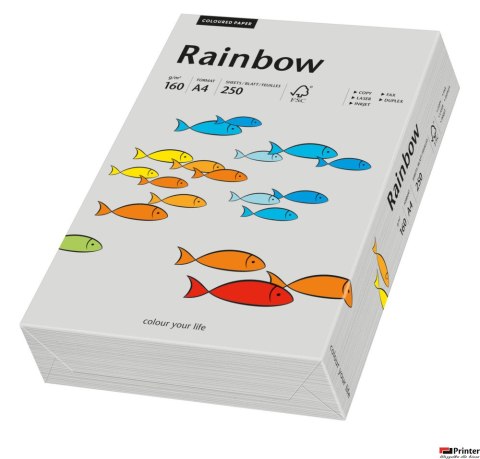 Papier xero kolorowy A4 160g 250 ark. RAINBOW R96 szary 88042813