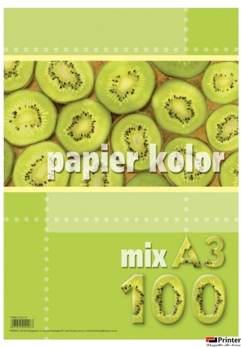 Papier xero A3 80g mix kolorów (100 arkuszy) KRESKA.