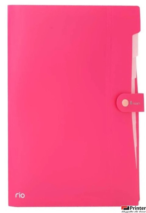 Teczka zatrzaskowa A4, 8 przegródek, seria Rio, różowa, EB40102_PINK, Deli.