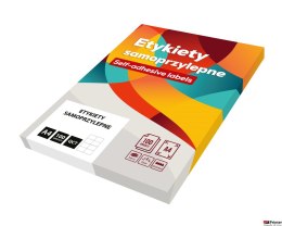 Etykiety A4 105mm x 57mm (100) białe Basic 032 EMERSON eta4i105x057wbas