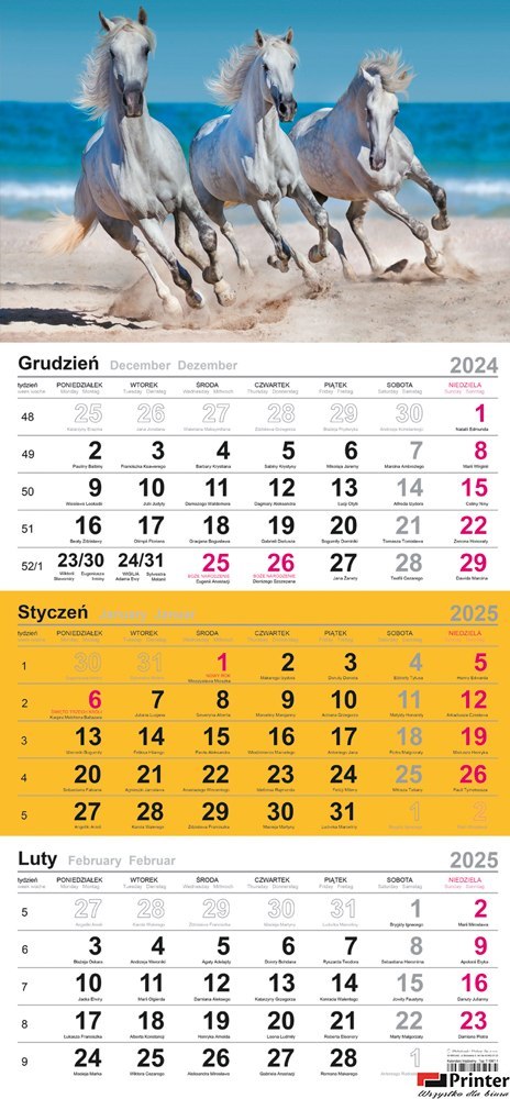 Kalendarz trójdzielny (H) 2026 Michalczyk i Prokop T-106T-04