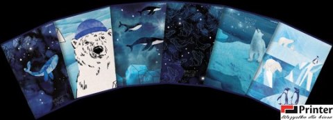 Zeszyt_linia z marginesem Winter Sailor A5 60 kartek, 70g/m2 TOP 2000 4001579 SALE 60k