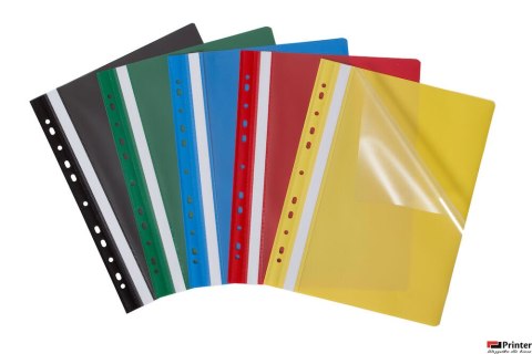 Skoroszyt z perforacją EVO, A4 jasnozielony BANTEX BUDGET 400076721