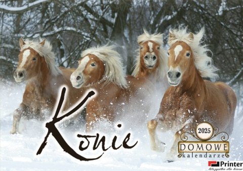 Terminarz Domowy 200x218mm 2026 - Konie Michalczyk i Prokop TW-10-6 KALENDARZ jednodzielny 200x285mm