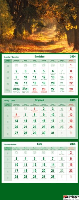 Kalendarz trójdzielny 2026 Las Michalczyk i Prokop T-105T-03