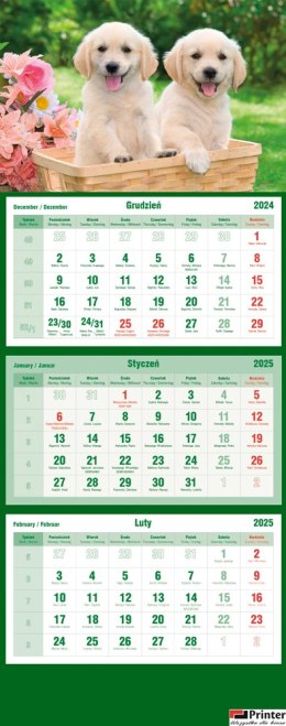 Kalendarz trójdzielny 2026 Psy Michalczyk i Prokop T-105T-09