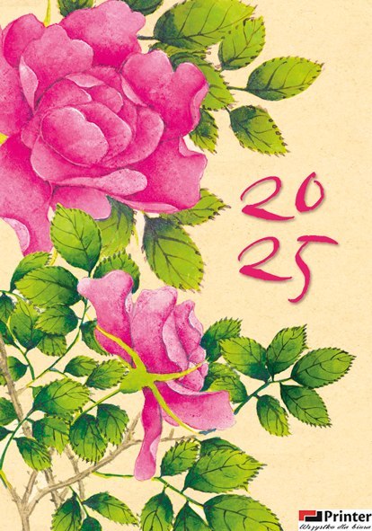 Terminarz Mikro 69x99mm 2026 Michalczyk i Prokop T-MIKRO-07 KALENDARZ