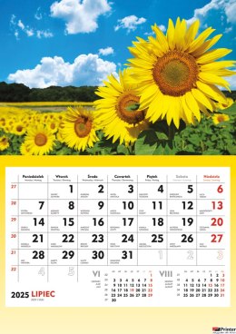 Terminarz Ścienny 2026 Michalczyk i Prokop T-107S-5 kalendarz jednodzielny