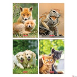 Zeszyt A4, 32 kartki w kratkę, Animals 400197964 HERLITZ