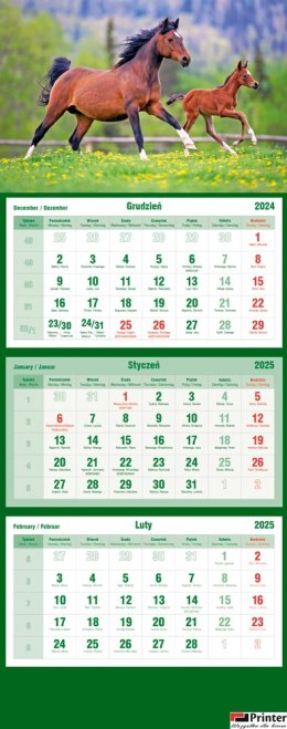 Kalendarz trójdzielny 2026 Konie Michalczyk i Prokop T-105T-11
