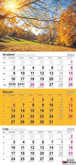 Kalendarz trójdzielny (H) 2026 Michalczyk i Prokop T-106T-12