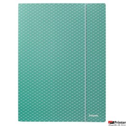 Teczka kartonowa z gumką Colour