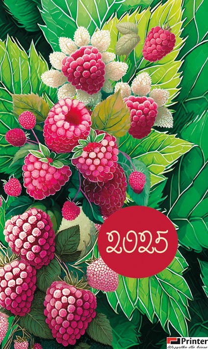 Terminarz Mini 87x145mm 2026 Michalczyk i Prokop T-MINI-05 KALENDARZ